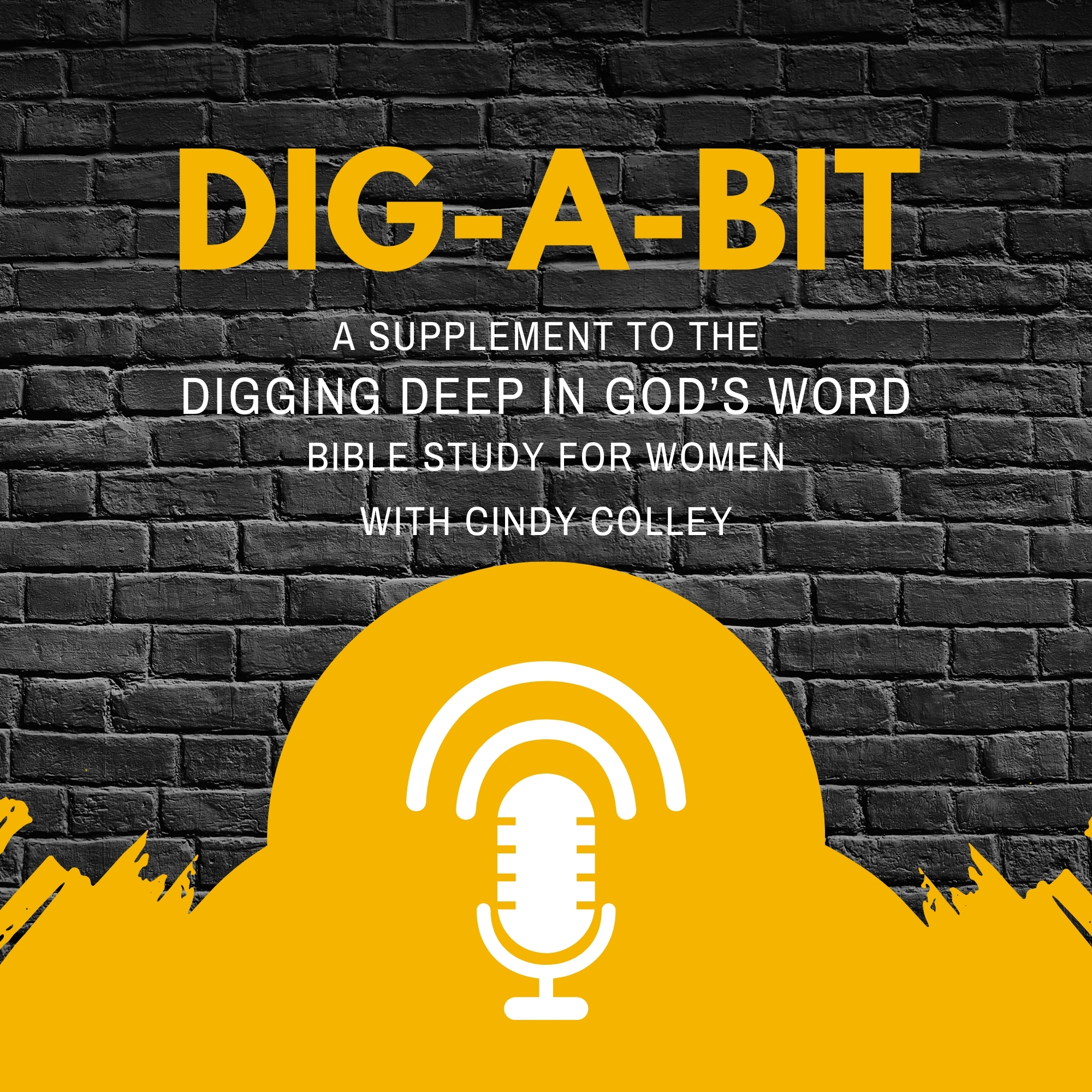 Dig-a-Bit Podcast